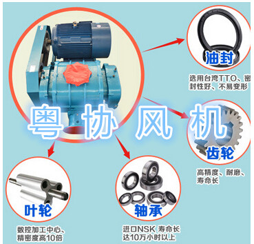 高壓羅茨風(fēng)機(jī)