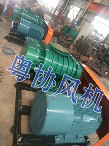 珠海羅茨風(fēng)機(jī)