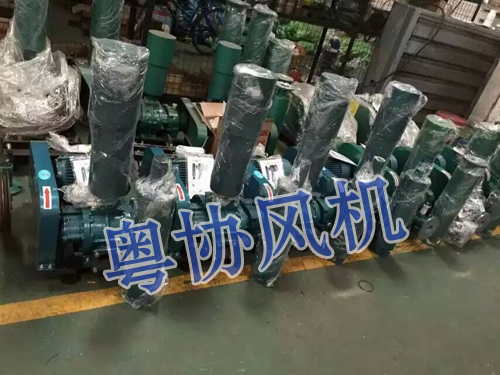 粉塵輸送羅茨風(fēng)機